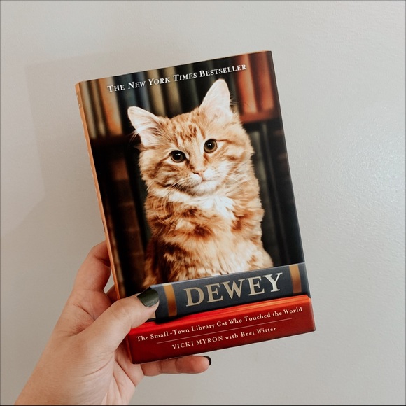 Book - Dewey by Vicki Myron - Picture 1 of 6